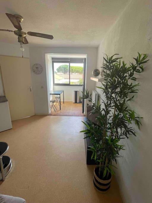 Appartement Port ルカート エクステリア 写真